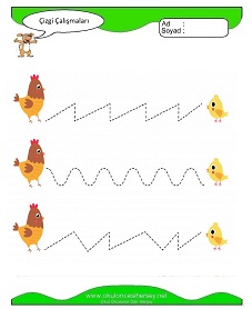 Çizgi Çalışma Sayfaları